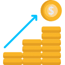 Cannot Afford Repayment